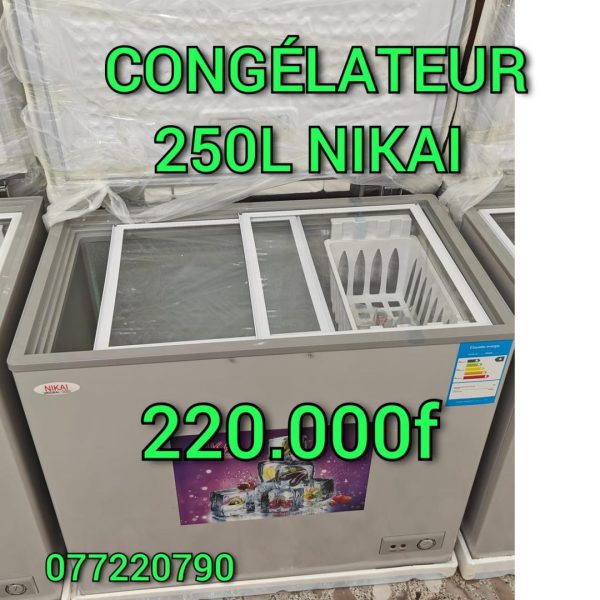 Congélateur 250L Nikai