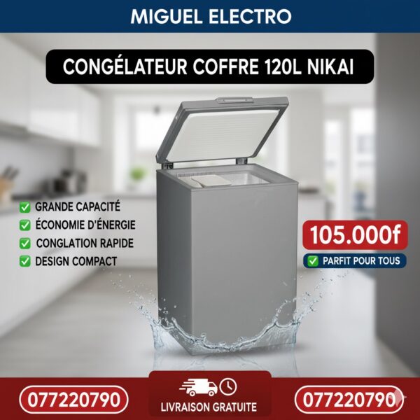 Congélateur 120L Nikai